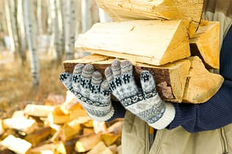 Wer sein Brennholz richtig lagert, kann effizient heizen