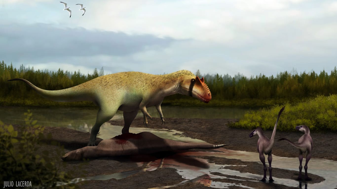 Wissenschaftler haben in den USA einen riesigen fleischfressenden Giganten entdeckt. Der Dinosaurier namens Siats meekerorum dominierte lange Zeit die Tyrannosaurier.