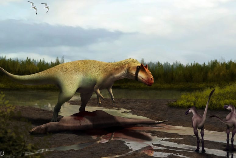 Wissenschaftler haben in den USA einen riesigen fleischfressenden Giganten entdeckt. Der Dinosaurier namens Siats meekerorum dominierte lange Zeit die Tyrannosaurier.