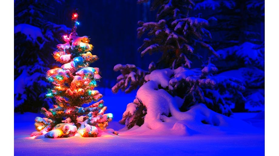 Weihnachtsbaum aus dem Microsoft-Theme Snowy Night