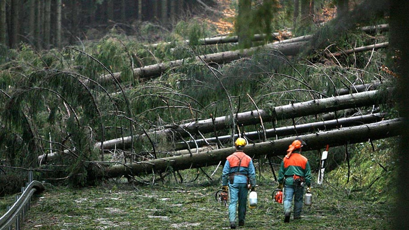 Sturmschäden auf einer Landstraße bei Ilmenau: Orkantief Kyrill war 2007 der schwerste Orkan seit Jahrzehnten