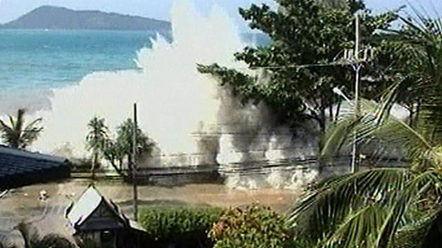 Tsunami Tsunami