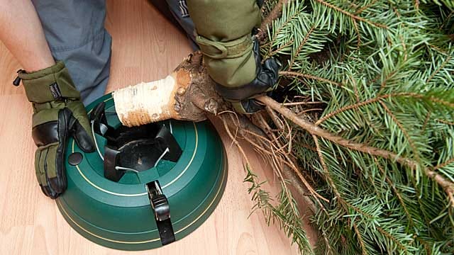 Christbaumständer: Tragen Sie beim Aufstellen Handschuhe, um Verletzungen zu vermeiden.