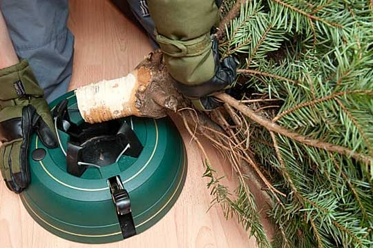 Christbaumständer: Tragen Sie beim Aufstellen Handschuhe, um Verletzungen zu vermeiden.