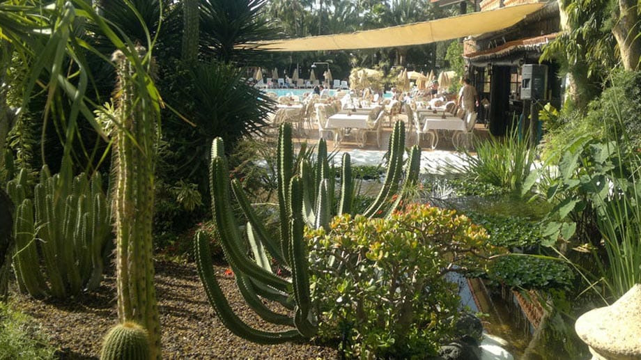 Hotel Parque Tropical: Froschpool, Springbrunnen und künstliche Seen - die tropische Parkanlage des gleichnamigen Hotels kann sich sehen lassen.