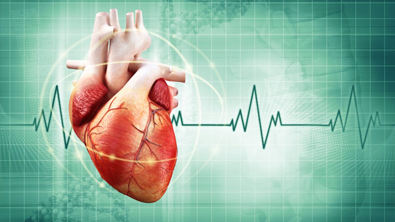 Herzerkrankungen: Eine gesunde Lebensweise hält unser Herz gesund.