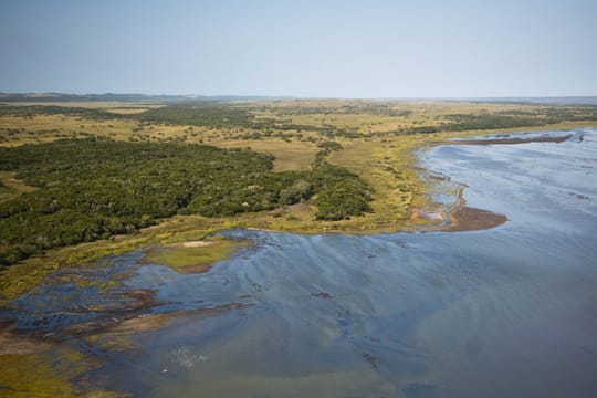 Der Lake St. Lucia liegt in der Sumpflandschaft des iSimangaliso Wetland Park