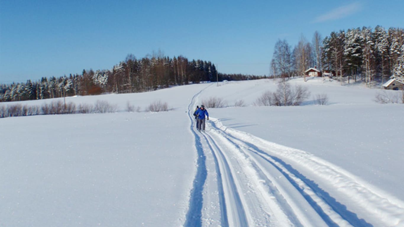 Langlauf in Nordkarelien, Finnland.