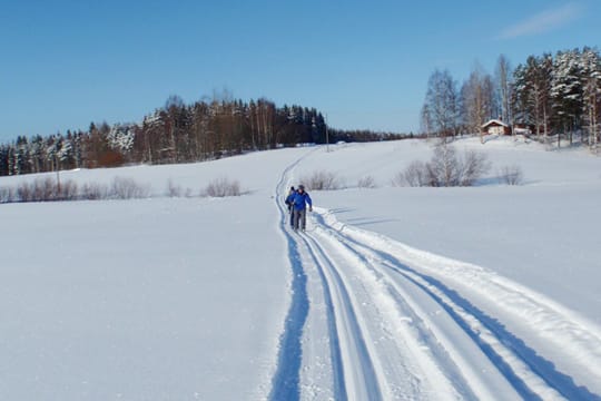 Langlauf in Nordkarelien, Finnland.