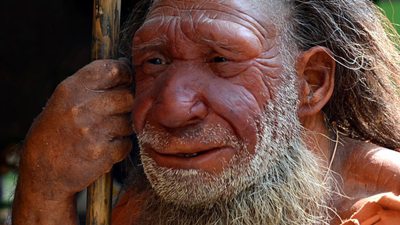 Rekonstruktion eines Neandertalers