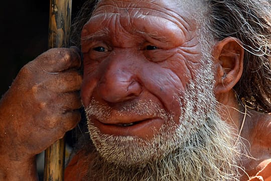 Rekonstruktion eines Neandertalers