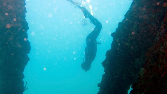 Apnoetauchen: Roberto Reyes in Puerto Rico.