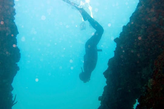 Apnoetauchen: Roberto Reyes in Puerto Rico.