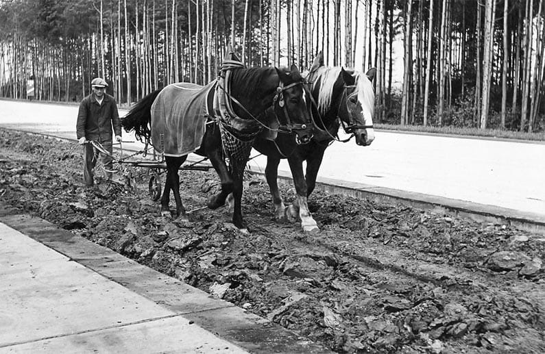 Pflügen des Mittelstreifens A 8 Ulm – Stuttgart, Autobahnkreuz Stuttgart - Rohrbachbrücke 1937 www.landesarchiv-bw.de Pflügen des Mittelstreifens A 8 Ulm – Stuttgart, Autobahnkreuz Stuttgart - Rohrbachbrücke 1937 www.landesarchiv-bw.de
