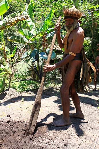 Im Hochland von Papua-Neuguinea: Feldarbeit mit einem traditionellem Grabegerät.