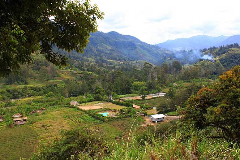 Landschaft im Hochland von Papua-Neuguinea.