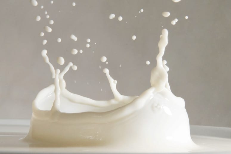 Kalzium: In Milch und Milchprodukten wie Joghurt oder Käse ist reichlich Kalzium enthalten.