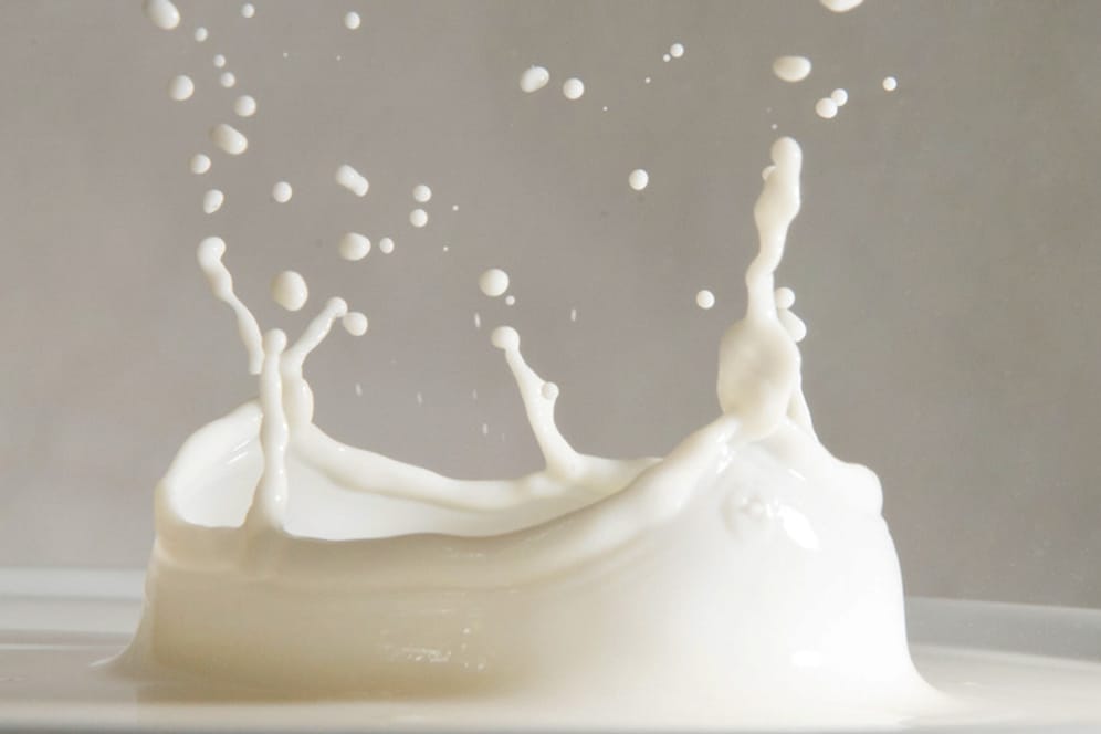Kalzium: In Milch und Milchprodukten wie Joghurt oder Käse ist reichlich Kalzium enthalten.
