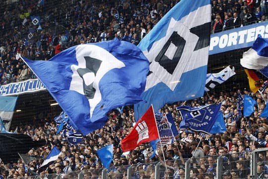 Die Mitglieder des Hamburger SV entscheiden im Januar über die Zukunft des Vereins.