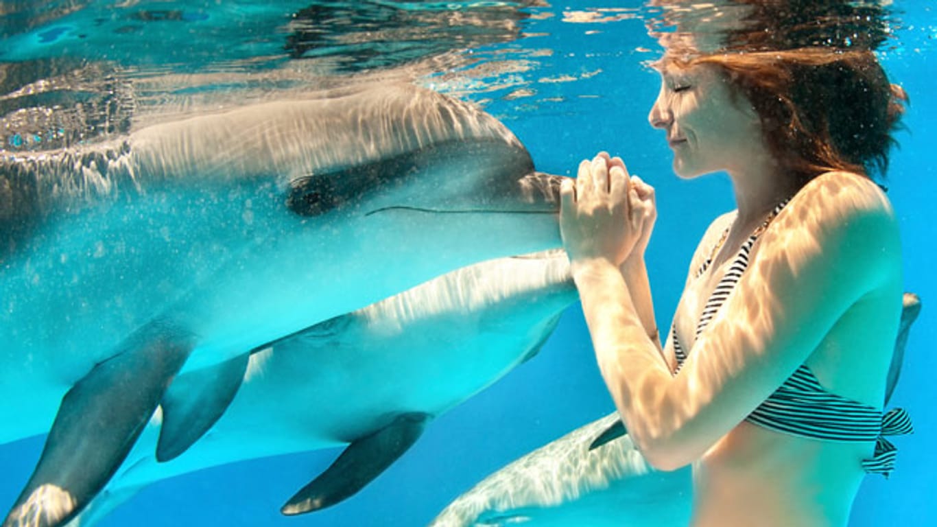 Mit einem Delfin zu schwimmen ist für viele ein berührendes Erlebnis