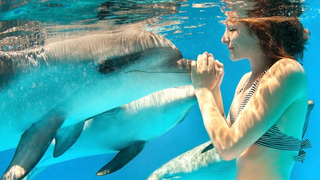 Mit einem Delfin zu schwimmen ist für viele ein berührendes Erlebnis