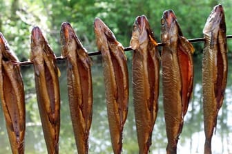 Fisch räuchern: Forellen im Spreewald.