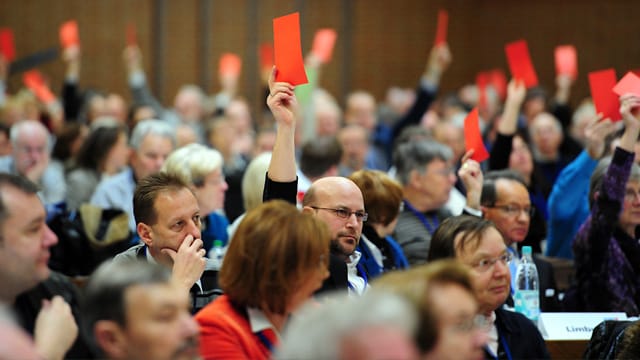 Auf dem aktuellen Kurs geht es für die AfD offenbar nicht weiter