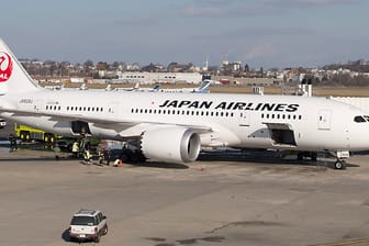 Bereits Anfang letzten Jahres hatte ein "Dreamliner" von Japan Airlines in Boston Schwierigkeiten mit den Batterien