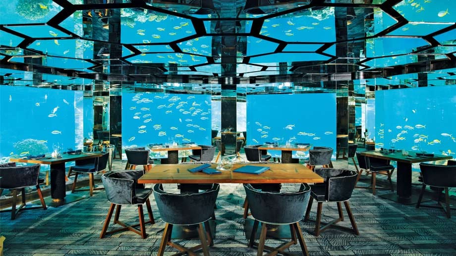 Im Sea-Restaurant der "Anantara Kihavah Villas" fühlt man sich wie in einem Aquarium. Die vorbeiziehenden Fische, Schildkröten und Rochen leben frei in der Lagune.