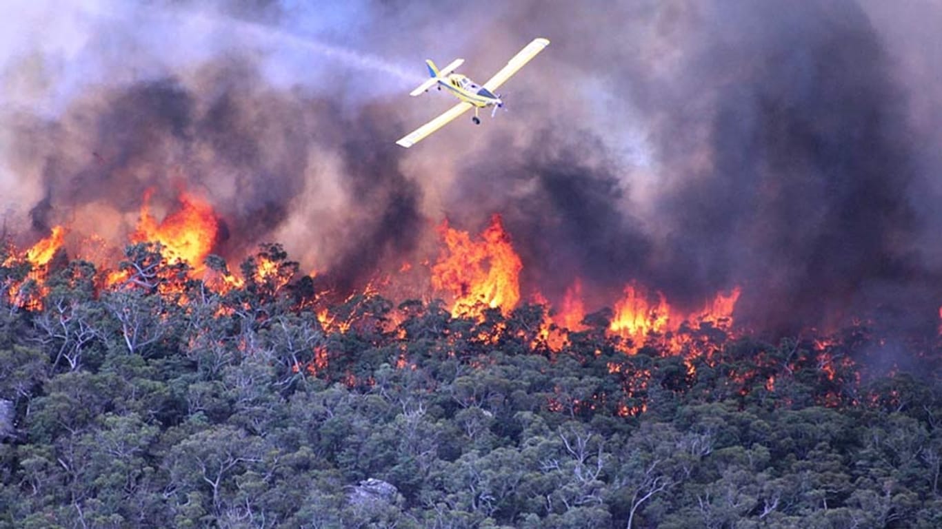 In Australien lodern zahlreiche Buschbrände