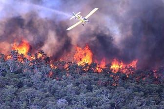 In Australien lodern zahlreiche Buschbrände