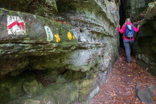 Wanderweg Mullerthal Trail in Luxemburg.