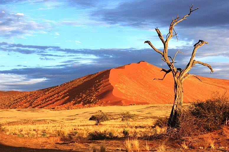 Bis zu 350 Meter hohe Sanddünen finden sich im Sossusvlei in Namibia. Die rote Farbe kommt durch eine hohe Konzentration an Eisenoxid.