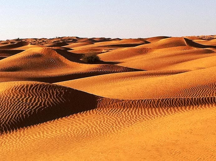 Berühmt ist die Sahara im Norden Afrikas vor allem für ihre sandigen Dünen, die allerdings nur ein Fünftel der Gesamtfläche der weltgrößten Trockenwüste ausmachen.
