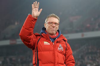 Peter Stöger vom 1. FC Köln
