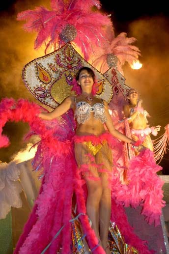 Die rund 1500 Teilnehmer tanzen in prächtigen, farbenfrohen Kostümen zu wilden Samba-Rhythmen an den ausgelassenen Menschenmengen vorbei.