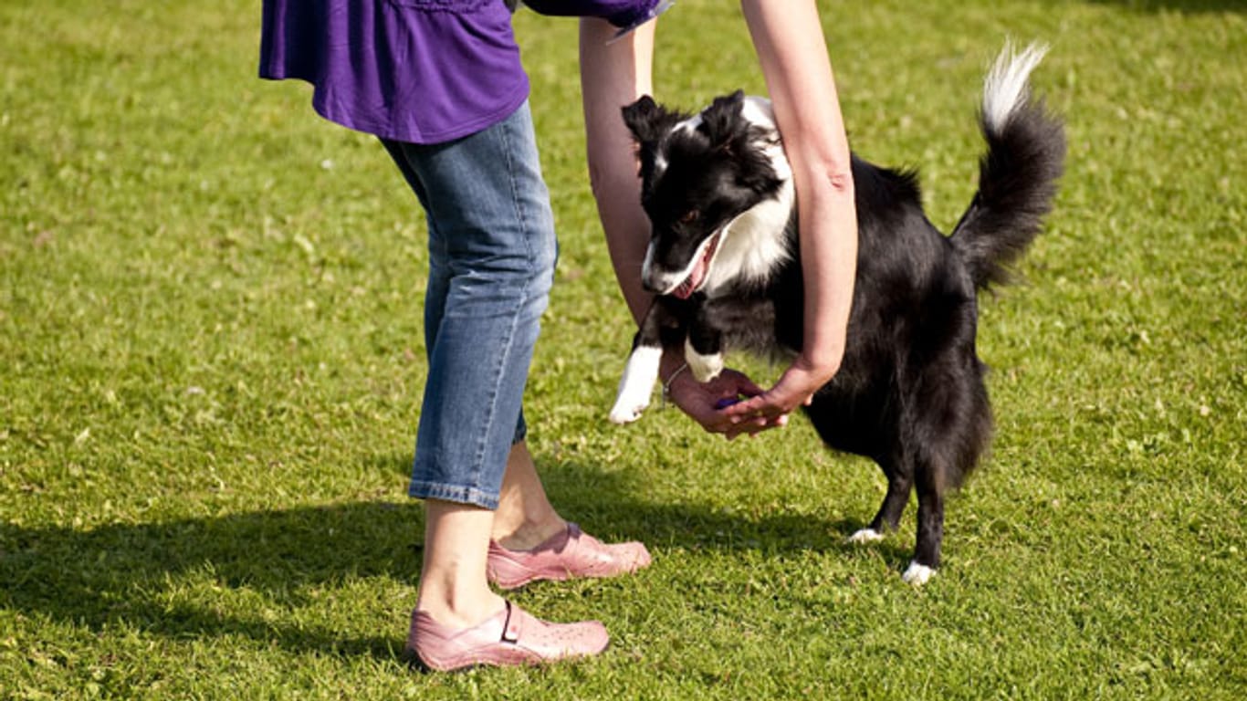 Beim Dog Dancing können sich Hund und Herrchen so richtig auspowern und ihre Freundschaft stärken.