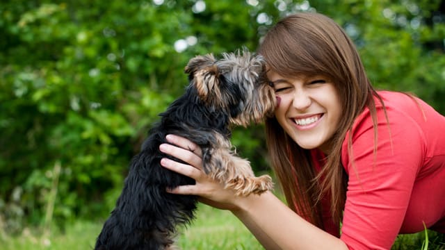 Eine frühe Erziehung in der Welpenschule fördert auch die Bindung zwischen Ihnen und Ihrem Hund.