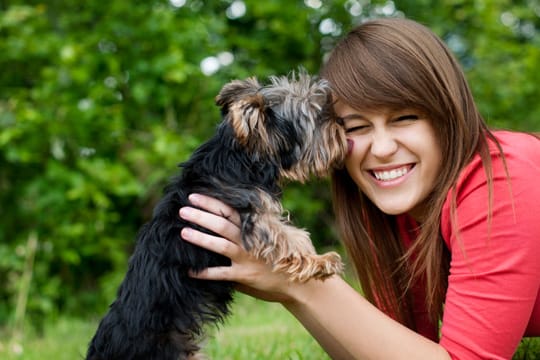 Eine frühe Erziehung in der Welpenschule fördert auch die Bindung zwischen Ihnen und Ihrem Hund.