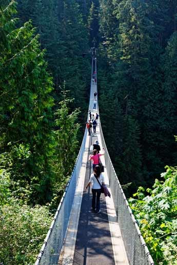 Seit 1889 zählt die Capilano Suspension Bridge zur Top-Sehenswürdigkeit in der Region British Columbia nördlich von Vancouver, Kanada. Auf dieser Hängebrücke steigt der Puls rapide an und sorgt bei Wanderern für wackelige Knie. Denn sie ist knapp 140 Meter lang und in 70 Metern Höhe. Starke Nerven sind vor allem dann gefragt, wenn der Wind weht.