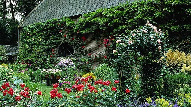 Einen CottageGarten anlegen Pflanzen für den Landhausgarten