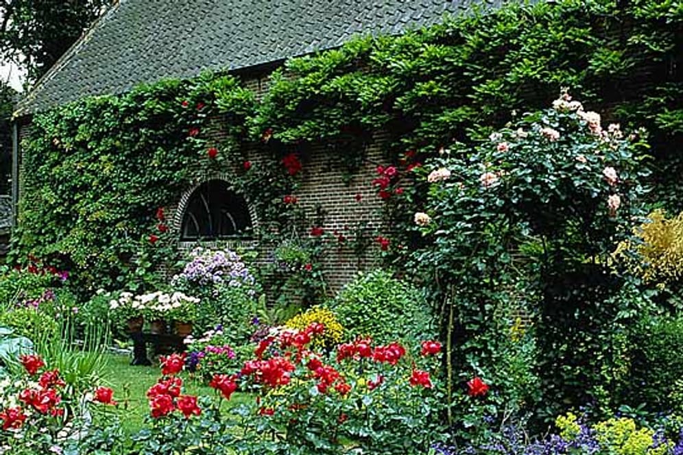 Ein Cottage-Garten passt perfekt zum Landhaus.