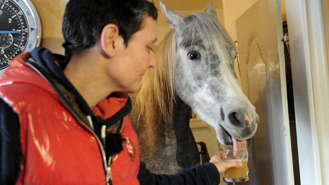 Stephanie Arndt mit ihrem tierischen Mitbewohner, Araber-Wallach "Nassar".