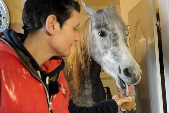 Stephanie Arndt mit ihrem tierischen Mitbewohner, Araber-Wallach "Nassar".