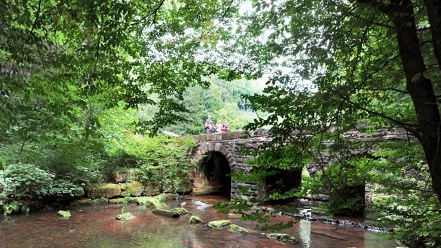 Neckarsteig: Wandern in acht Etappen von Heidelberg nach Bad Wimpfen.