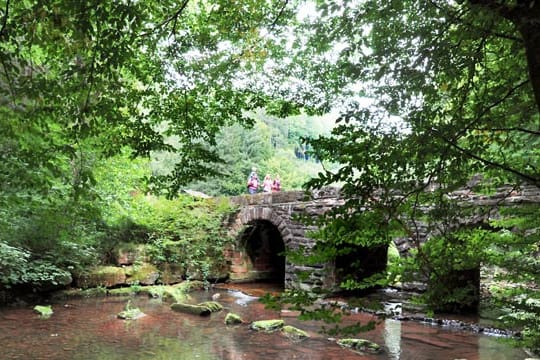 Neckarsteig: Wandern in acht Etappen von Heidelberg nach Bad Wimpfen.