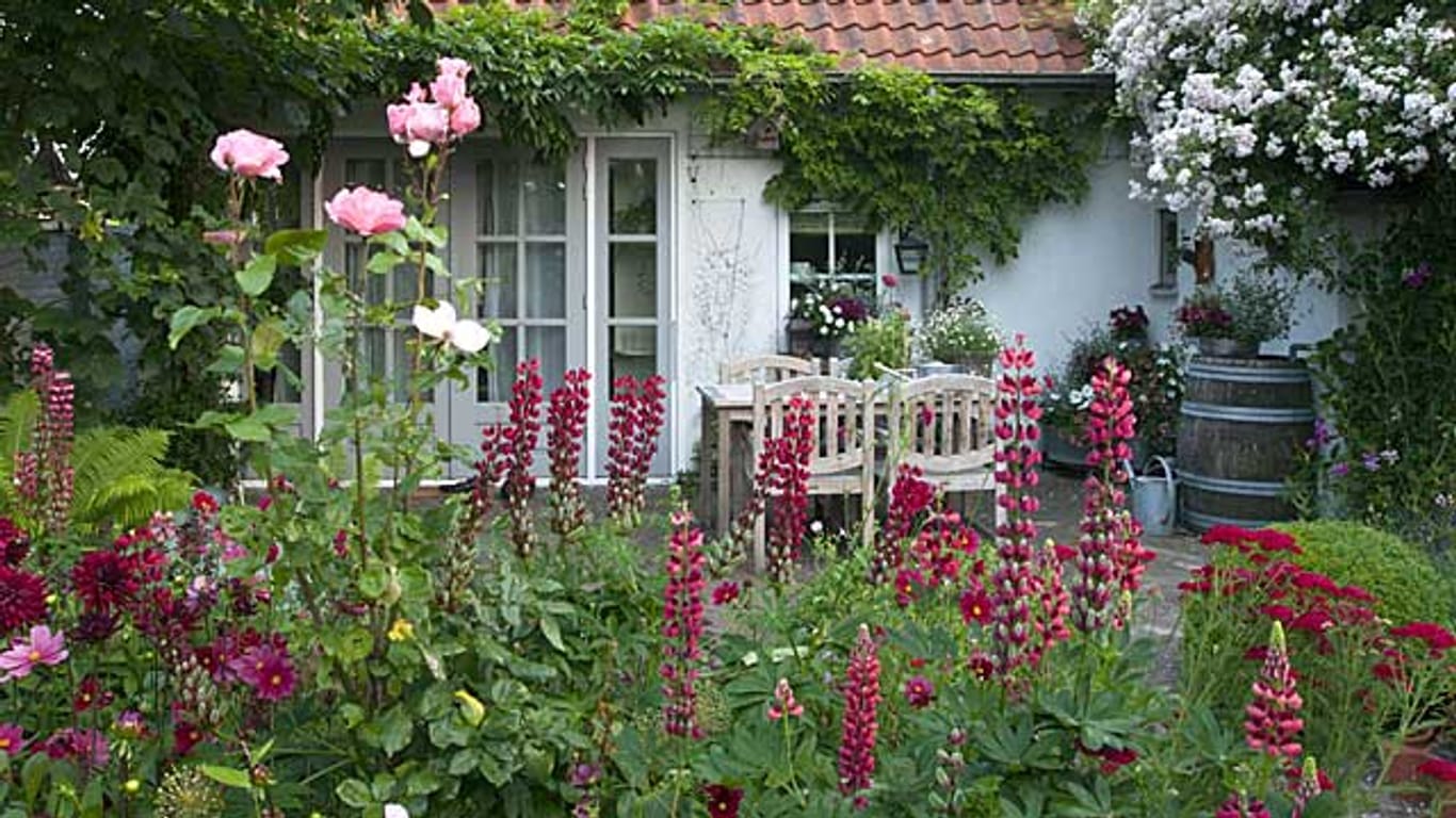 Rote Blumen bringen Kontraste in den Garten.