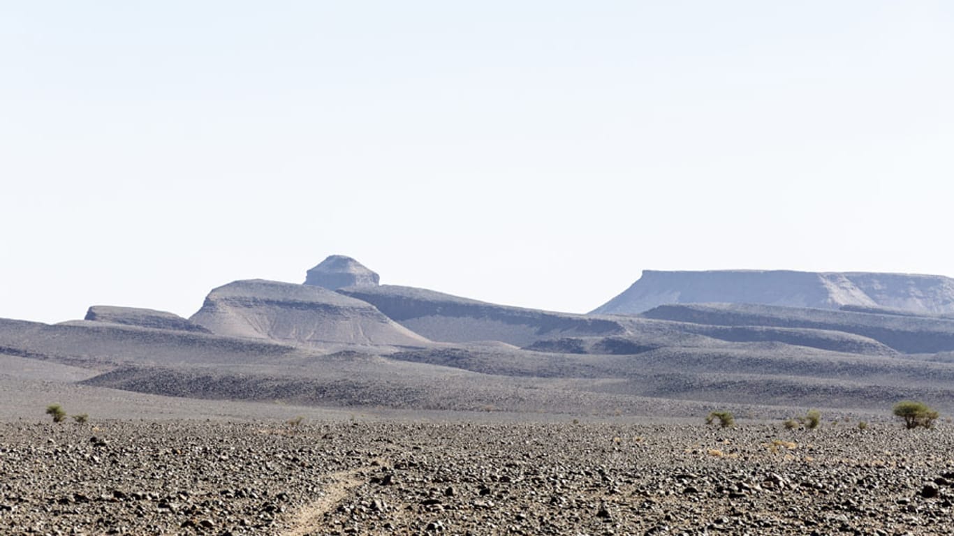 Trist, karg und voll Geröll: Auch so kann die Sahara aussehen.