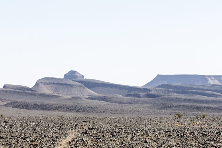 Trist, karg und voll Geröll: Auch so kann die Sahara aussehen.