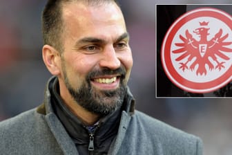 Markus Babbel wird als potentieller Nachfolger von Armin Veh bei Eintracht Frankfurt gehandelt.